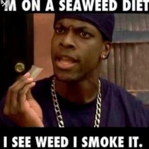 Meet your Posher, Angel